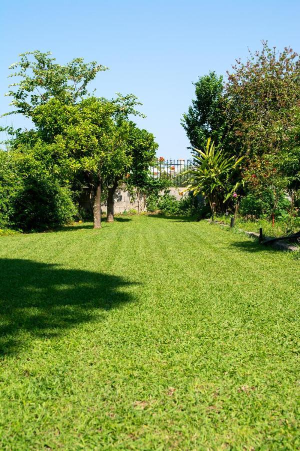איגיו Ritsinia Apartments מראה חיצוני תמונה